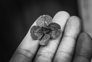mới link Kubet